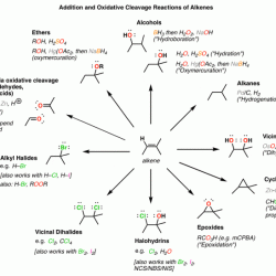 Alkene addition reactions cheat sheet