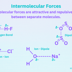 Types of intermolecular forces worksheet