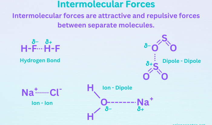 Types of intermolecular forces worksheet