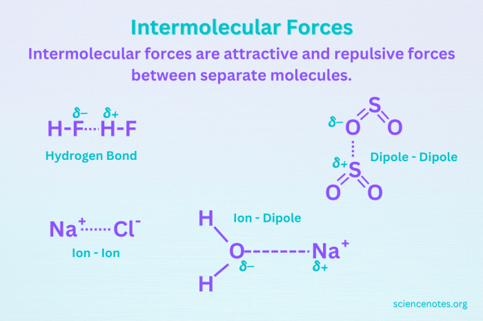 Types of intermolecular forces worksheet