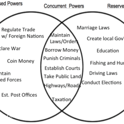 The president cabinet activity answer key