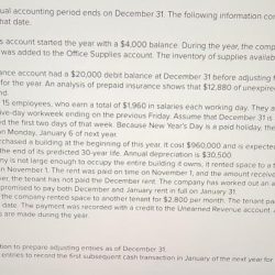 Arnez company's annual accounting period