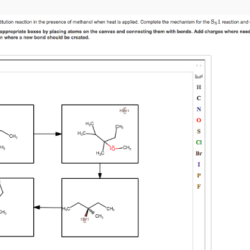 R 3 bromo 2 3 dimethylpentane