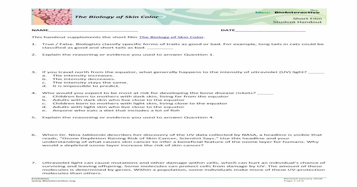 Biology of skin color worksheet