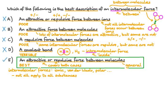 Types of intermolecular forces worksheet