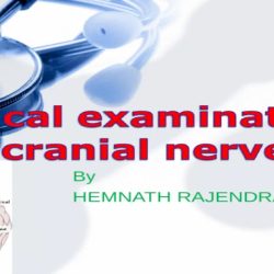 Clinical scenario the cranial nerves anatomy and diagnostic testing