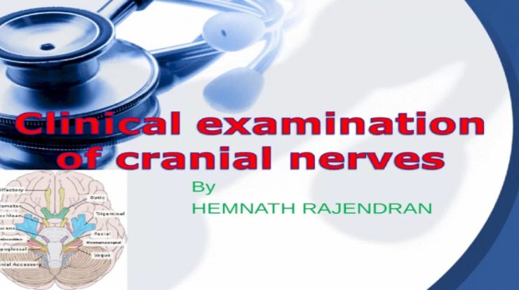 Clinical scenario the cranial nerves anatomy and diagnostic testing