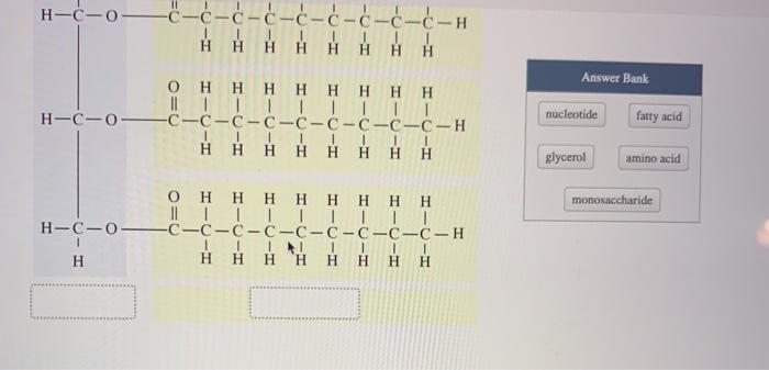 Identify the component of a triglyceride within the bracket