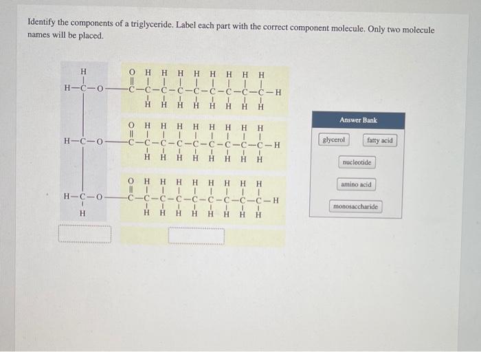 Identify the component of a triglyceride within the bracket