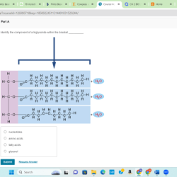 General triglyceride triglycerides biologically describe various important draw diagram types