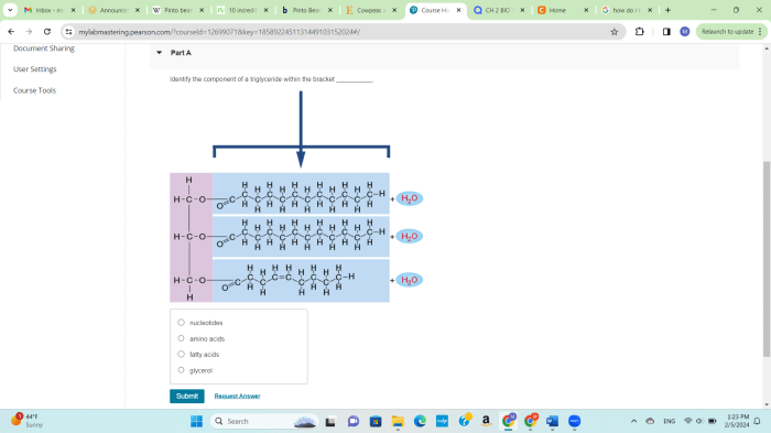 General triglyceride triglycerides biologically describe various important draw diagram types