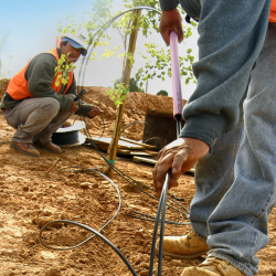 Certified irrigation technician practice exam